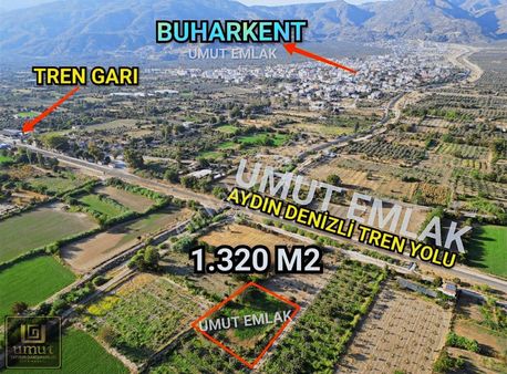 Aydın Buharkent 1.320 M2 Meyve Bahçesi Acil Satılık Fiyatı Uygun