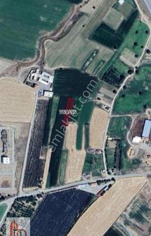 Develioğlu Gayrimenkulden Güneyaşağı Mh Satlık Bağ