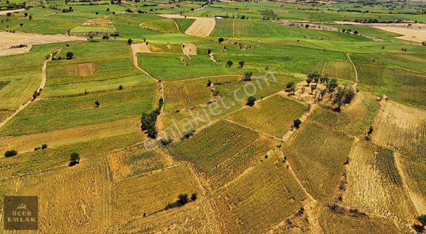 Üçer Emlak'tan Keşan Paşayiğit Osb'ye Yakın 1150m2 Satılık Arazi