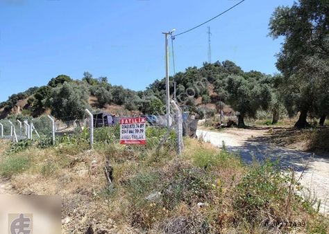 Akkuş Emlak'tan Satılık Arsa