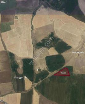 Viva'dan Yeni Mezarlık Yanı Satılık 23 Dönüm Müstakil Arsa