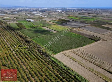 Rw Serik Boğazkentte 7916m2 Tarla