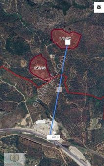 Obhd Global Gayrimenkul'den Aydın'da Satılık Zeytin Bahçeleri