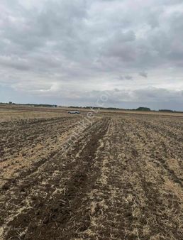 Ergene Paşaköy Şelale Tarafında Satılık Arsa