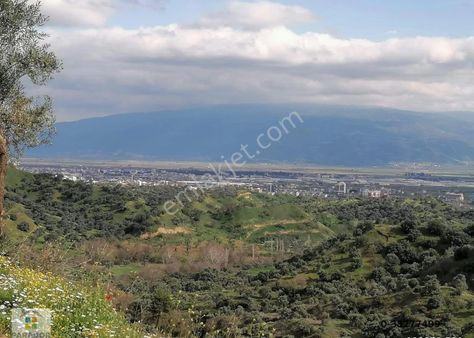 İsabeylide 10.700 M2 İçinde Satılık Müstakil Ev Ve Bahçe