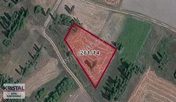 Seyitgazi Ayvalı'da Fırsat 1000 M2 Satılık Bahçe