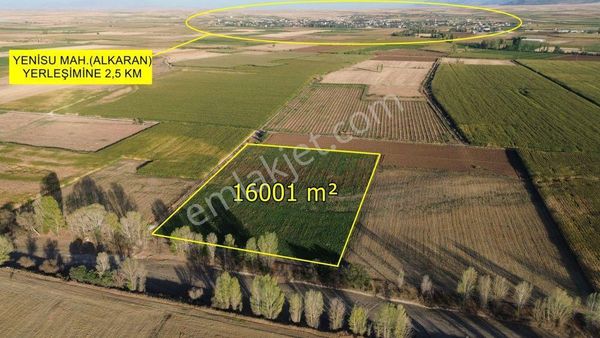 Çumrada Bozkır Yoluna Yakın Tarım Arazisi