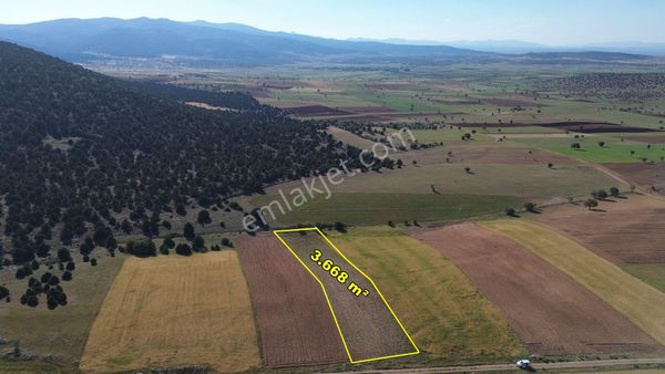 Akören Alan Da 3.668 M2 Müstakil Tapulu Arazi