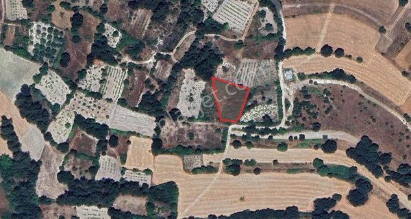 C21 Loca'dan Konakpınar'da Satılık Tarla