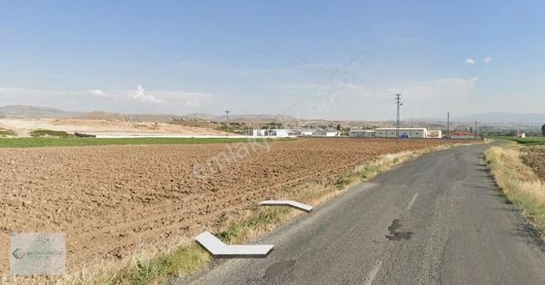 Gömeç Mh Asfalta Sıfır Etrafı Çiftlik Olup Elektrik Su Mevcut