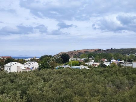 Bursa Mudanya Esencede Satılık Müstakil Ev Ve Arsası