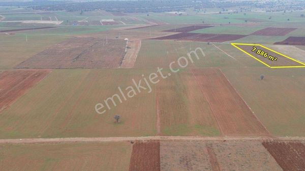 Akören Hacılar Da 7.886 M2 Müstakil Tapulu Arazi