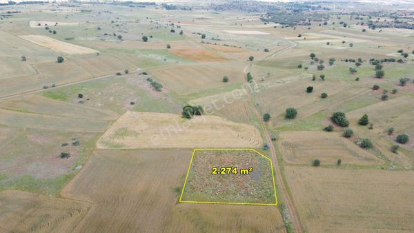 Akören Tülce De 2.274 M2 Müstakil Tapulu Arazi