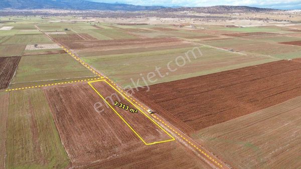 Akören Hacılar Da 2.313 M2 Müstakil Tapulu Arazi