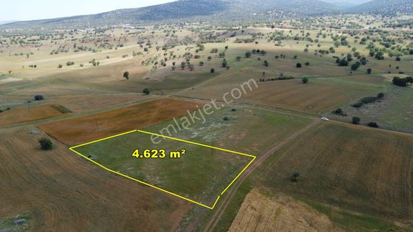 Akören Tülce De 4.623 M2 Müstakil Tapulu Arazi