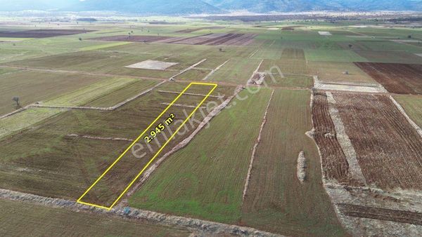 Akören Hacılar Da 2.945 M2 Müstakil Tapulu Arazi