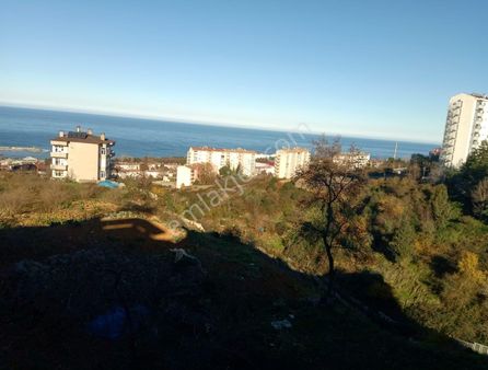 Trabzon Üniversite Mahallesi'nde 2+1 Kiralık Daire