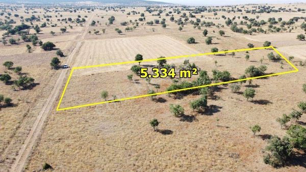 Konya Akören Ağalar Mahallesinde 5.334 M² Müstakil Tapulu Tarla