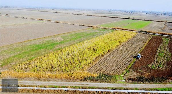 Yenipazar Merkeze 2 Km Mesafede Satılık Tarla