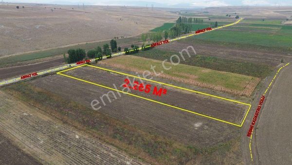 Konya Akören Orhaniye Mahallesinde 2.265 M² Müstakil Tapulu Tarla