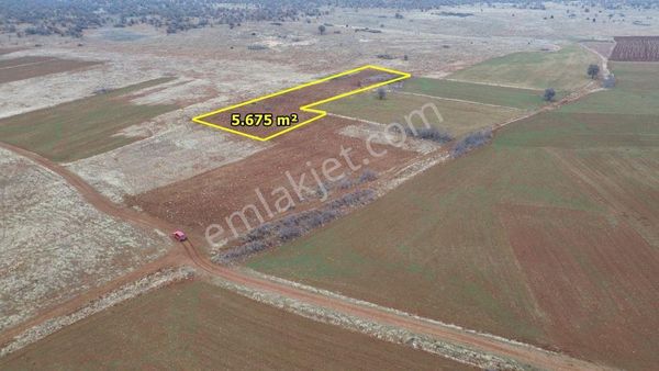 Akören Hacılar Da 5.675 M2 Müstakil Tapulu Arazi