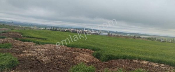 6 Dönüm Yakın Satılık Tarla