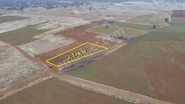 Akören Hacılar Da 2.774 M2 Müstakil Tapulu Arazi