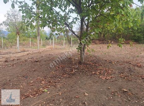 Bursa Orhangazi Karsak'ta 264m2 Harika Konumda Süper Hobi Bahçe