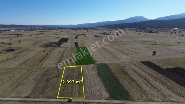 Akören Tülce De 2.393 M2 Müstakil Tapulu Arazi