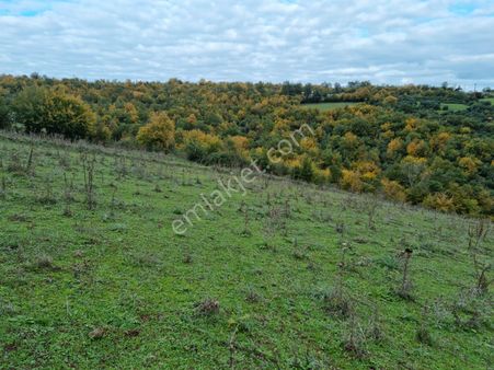 Akgün Kurumsal'dan Lengerli'de 5840m2 Satılık Fırsat Arsa