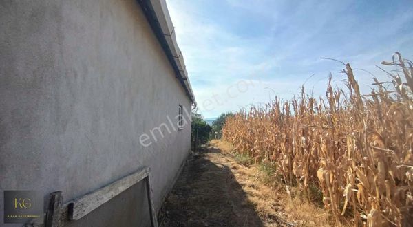 Manisa Yunusemre Üçpınarda 5800 M² Tarla + Ev + Traktör