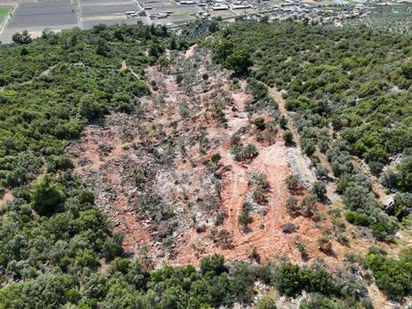 Milas'ta Havalimanı Ve Doğa Manzaralı Muhteşem Zeytinlik Arazisi
