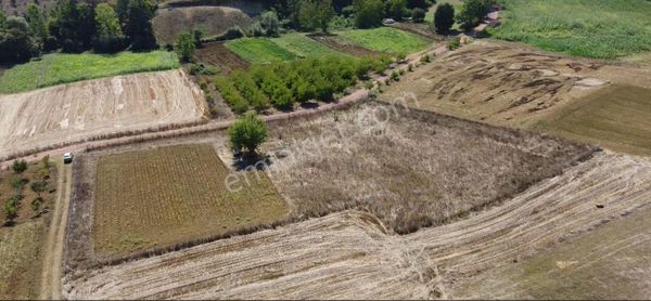 Satılık Ömerli'de Tarla