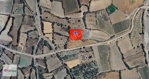 Vadi Emlak'tan Büyükyıldız'da 2330mt2 Tek Tapu Satılık Tarla