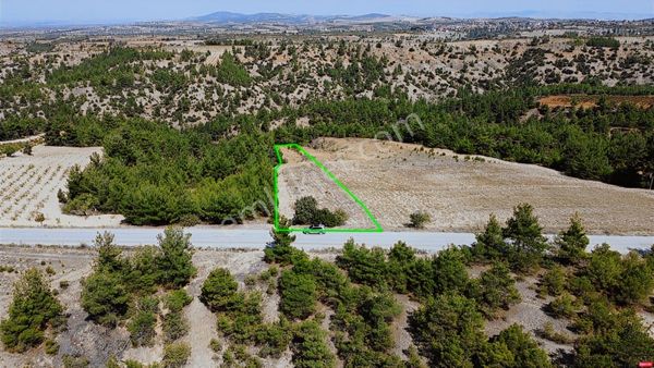 Ana Asfalt Üzeri, Müstakil Tapu, Bağ Nitelikli