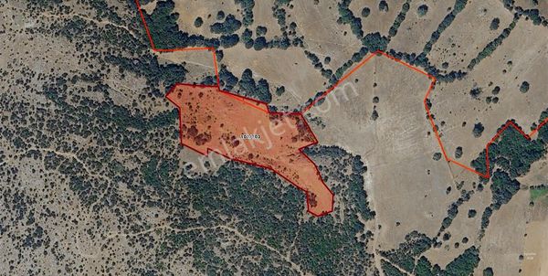 Balıkesir Kepsut Sayacık Mah. 11.345 M2 Arazi Satılıktır