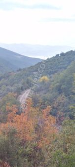 Bursa İznik Gürmüzlüde Acil Satılık Göl Manzaralı Bağ,bahçe
