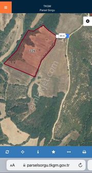 Bursa Mustafakemalpaşa Satılık Tarla 20,500m2