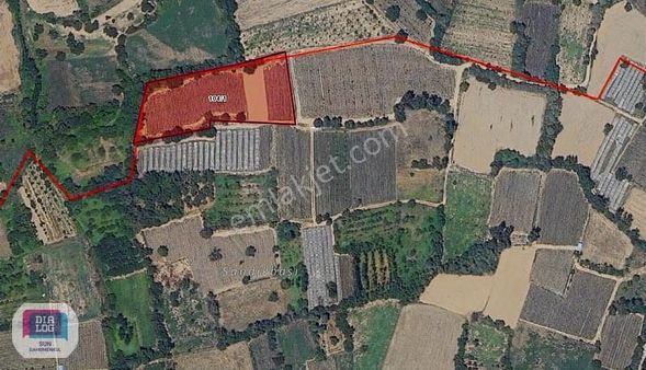 Dialog Sun Satılık İnegöl Kınık 7.086m² Yatırıma Uygun Tarla