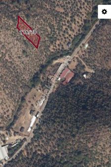 🫒 Satılık Yatırımlık Zeytinlik – Muğla / Milas / Bafa 🫒