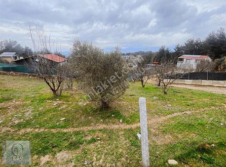 Tek Tapu Köşe Parsel 1020 M²