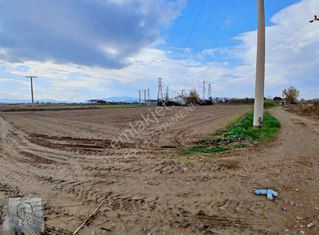 Tek Tapu 3800 M² Tarla