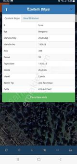 Bergama Zeytindağda Satılık Zeytinlik