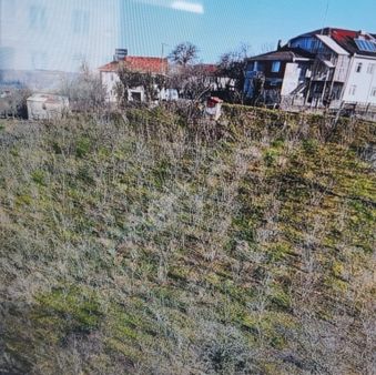 İgr Gayrimenkul Akkum Köyü 5508m² Fındık Bahçesi, Kadastro Ölçümü 9000m²