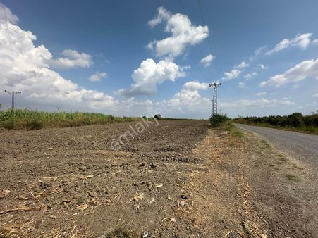 New Form'dan Tarsus Hacıbozan'da Satılık Tarla