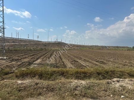 New Form'dan Çukurova Havalimanı Yolu Üzerinde Satılık Tarla