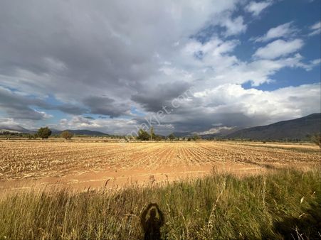 Yiricek Mahallesi Tek Tapulu Tek Parsel Satılık Tarla