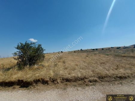 Kaplan Gayrimenkul’den Karadere Mahallesinde 7500 M² Satılık Tarla