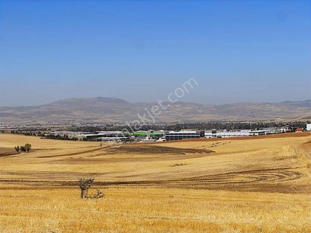 /lider Gayrimenkul'den /şeyhler Mah 2380m2 Hisse Tapulu Tarla .