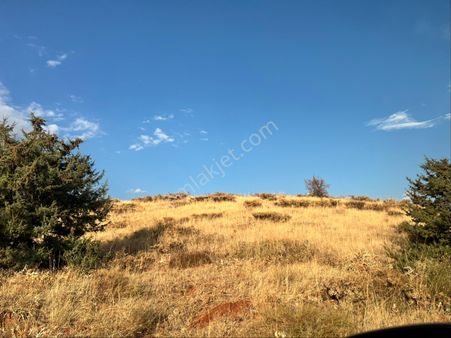 Satılık Villalık Arsa